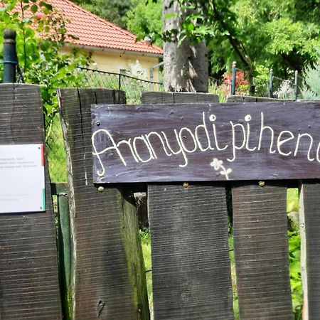 Aranyodi Piheno Pension Zalaszentgrót Buitenkant foto