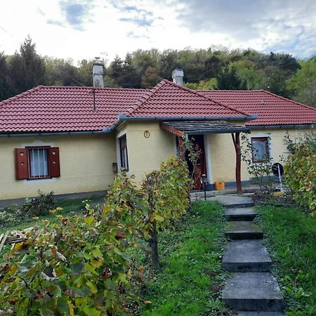 Aranyodi Piheno Pension Zalaszentgrót Buitenkant foto