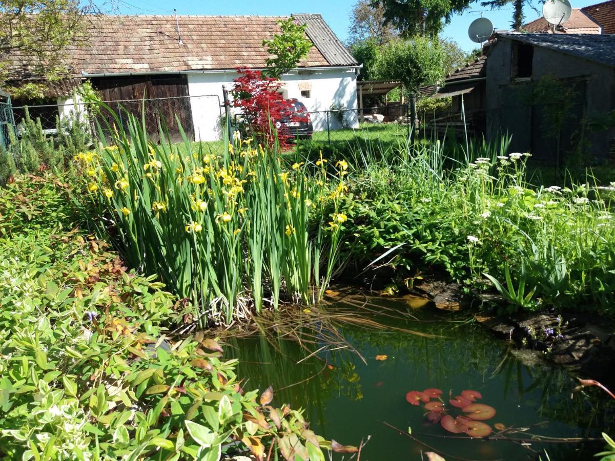 Aranyodi Piheno Pension Zalaszentgrót Buitenkant foto