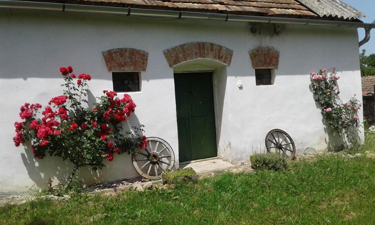 Aranyodi Piheno Pension Zalaszentgrót Buitenkant foto