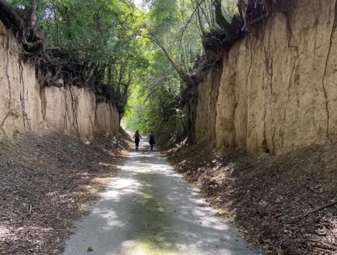 Aranyodi Piheno Pension Zalaszentgrót Buitenkant foto